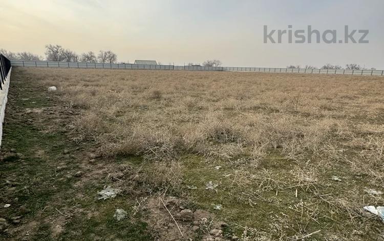 Участок · 1 га, Коксай (Путь Ильича) за 150 млн 〒 — фото 2