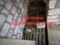Жеке үй · 5 бөлме · 300 м² · 10 жүзд., 9, бағасы: 11 млн ₸ в Батыре — фото 22