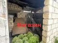 Жеке үй · 5 бөлме · 300 м² · 10 жүзд., 9, бағасы: 11 млн ₸ в Батыре — фото 4