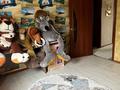 Отдельный дом · 6 комнат · 190 м² · 10 сот., Жанаконыс — 40 школа за 78 млн ₸ в Астане, Сарыарка р-н — фото 31