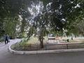 2-бөлмелі пәтер · 53.8 м² · 10/10 қабат, 8-ші шағым аудан 11, бағасы: 22.5 млн ₸ в Костанае, 8-й микрорайон — фото 11