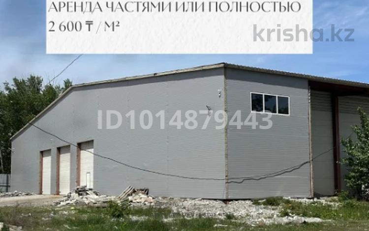 Склады, сельское хозяйство · 3700 м² за ~ 9.6 млн ₸ в Астане, р-н Байконур — фото 6