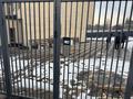 Жеке үй · 4 бөлме · 150 м² · 1.5 жүзд., 25 5 — За заправкой Роял петрол, бағасы: 45 млн ₸ в Кыргауылдах — фото 13