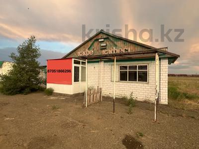Қоғамдық тамақтану орны · 97 м², бағасы: 18 млн ₸ в Новопокровке