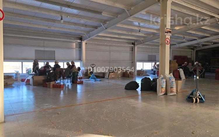 Промбаза · 100 соток, Кошенеи 184г 184г — Кошенеи проспект джамбула за 100 000 ₸ в Таразе — фото 2