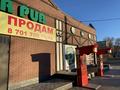 Дүкендер мен бутиктер · 400 м², бағасы: 100 млн ₸ в Талдыкоргане, 9-й микрорайон