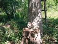 Дача · 1 комната · 10 м² · 6 сот., 2 40 — Дача Горняк за 4 млн ₸ в Текели — фото 6