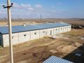 Склады, сельское хозяйство · 1200 м² за 240 млн ₸ в Каратобе — фото 6