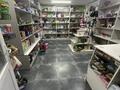 Свободное назначение, склады · 20 м² за 150 000 ₸ в Астане, Алматы р-н — фото 2
