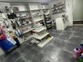 Свободное назначение, склады · 20 м² за 150 000 ₸ в Астане, Алматы р-н — фото 3
