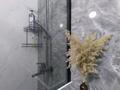 2-бөлмелі пәтер · 51 м² · 6/12 қабат, Райымбека 348/1 — Сайран,БЦ"Aspara",Гранд парк,Maxima, Райымбека-Емцова, бағасы: 25 000 ₸ в Алматы, Ауэзовский р-н — фото 17