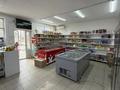 Отдельный дом · 4 комнаты · 239 м² · 239 сот., мкр Самал-1, Ал машани 253/1 — Самала базар за 70 млн ₸ в Шымкенте, Абайский р-н — фото 4