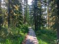 Дом · 4 комнаты · 80 м², Берель за 10 000 ₸ в  — фото 14