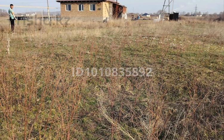 Участок · 8 соток, Нур Плаза 19/5 — ПКСТ Нур Плаза за 7.9 млн ₸ в  — фото 11