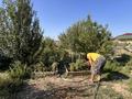 Участок · 10 соток, Часток 607 за 15 млн ₸ в Талдыкоргане, село Ынтымак — фото 12