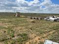 Участок · 10 га, жилой массив Бауырластар-5 за 2.8 млн ₸ в Актобе — фото 3
