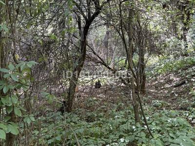 Участок · 6 соток, С/т Геолог 85 — М-он Кольсай за 4.5 млн ₸ в Алматы, Медеуский р-н