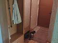3-комнатная квартира · 56 м² · 4/4 этаж, мкр №12 4 за 30.5 млн ₸ в Алматы, Ауэзовский р-н — фото 6