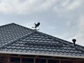 Отдельный дом · 6 комнат · 230 м² · 6 сот., Оралман, Майлыкент көшесі за 14 млн ₸ в Туркестане — фото 6