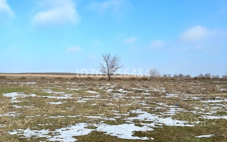 Жер телімі · 10 сотық, Шымкент, бағасы: 4.6 млн ₸ — фото 2