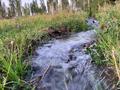 Участок · 400 соток, Капал батыр за 97 млн ₸ в  — фото 12