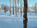 Участок · 400 соток, Капал батыр за 97 млн ₸ в  — фото 39