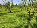 Участок · 400 соток, Капал батыр за 97 млн ₸ в  — фото 6