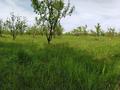 Участок · 400 соток, Капал батыр за 97 млн ₸ в  — фото 7