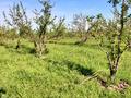 Участок · 400 соток, Капал батыр за 97 млн ₸ в  — фото 8