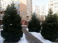 3-комнатная квартира · 70 м² · 9/10 этаж, мкр Каргалы, Кенесары хана 54 — Выше парка первого президента за 47 млн ₸ в Алматы, Наурызбайский р-н — фото 19