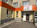 Еркін · 1000 м², бағасы: 600 млн ₸ в Алматы, Медеуский р-н