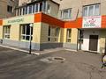 Еркін · 1000 м², бағасы: 600 млн ₸ в Алматы, Медеуский р-н — фото 2