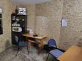Дүкендер мен бутиктер · 100 м², бағасы: 290 млн ₸ в Петропавловске — фото 9