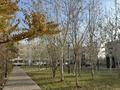3-бөлмелі пәтер · 87.2 м² · 1/4 қабат, мкр Зердели 78, бағасы: 46 млн ₸ в Алматы, Алатауский р-н — фото 10