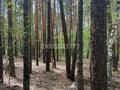 Участок · 10 соток, Щучинск за 28 млн 〒