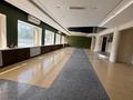 Свободное назначение, общепит · 660 м² за 2.8 млн ₸ в Астане — фото 7