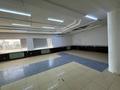 Свободное назначение, общепит · 660 м² за 2.8 млн ₸ в Астане — фото 14