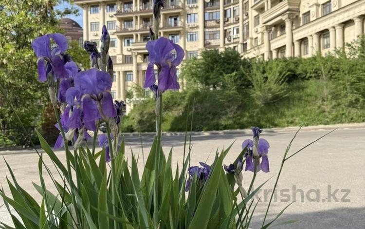 Паркинг · 20 м² · Омарова 25/1 за 4 млн ₸ в Алматы, Медеуский р-н — фото 4
