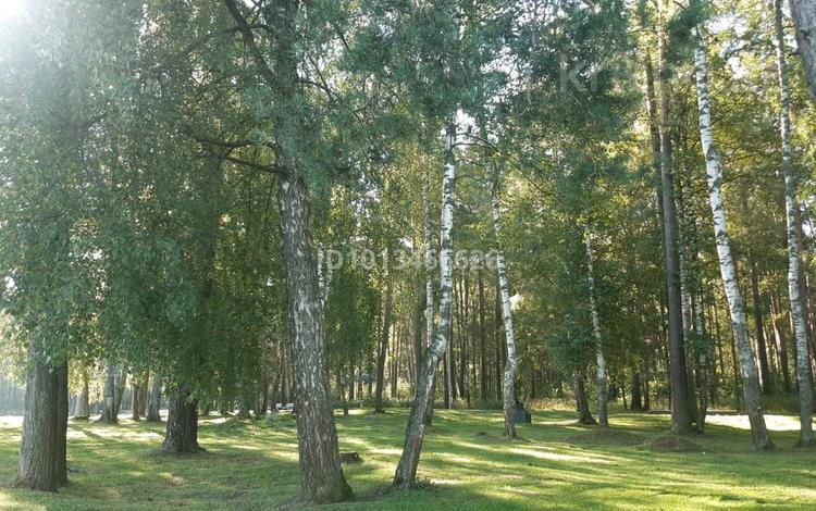 Жер телімі · 7 сотық, Михайловка ш/а. — Григория Потанина, бағасы: 2 млн ₸ в Караганде, Казыбек би р-н — фото 3