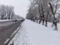 Жер телімі · 7.2 сотық, Огонёк 23, бағасы: 18 млн ₸ в Каскелене — фото 6