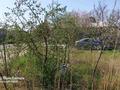 Отдельный дом · 4 комнаты · 80 м² · 836 сот., мкр Атырау, САРАЙШЫҚ 61 — Район школы Гагарина (бывший пр.Тракторный) за 27 млн ₸ — фото 24