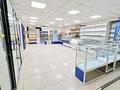 Магазины и бутики · 180 м² за 160 млн 〒 в Усть-Каменогорске — фото 13