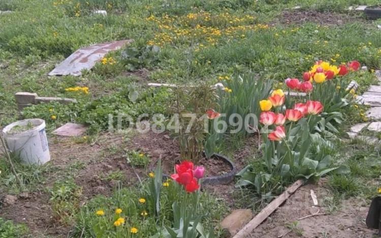 Жер телімі · 5 сотық, Алмалыбак (КИЗ), бағасы: ~ 3.8 млн ₸ — фото 16
