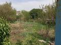 Жер телімі · 5 сотық, Алмалыбак (КИЗ), бағасы: ~ 3.8 млн ₸ — фото 4