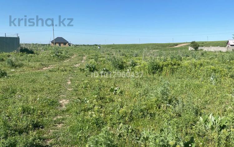 Участок · 8 соток, Кайназар (Енбекшиказахский район) за 3.5 млн ₸ — фото 2