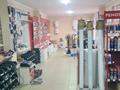 Отдельный дом · 9 комнат · 270 м² · 8 сот., мкр Нуртас, Маржантас 81 — Кенжарык за 130 млн ₸ в Шымкенте, Каратауский р-н — фото 44