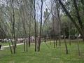 2-бөлмелі пәтер · 53.2 м² · 6/9 қабат, Бокейханова — Северная кольцо, бағасы: 270 000 ₸ в Алматы, Жетысуский р-н — фото 16
