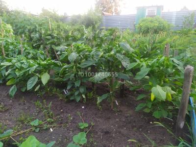Продажа участков в Костанайской обл.: Участок · 4 сотки, 1-й микрорайон, ПКСТ Текстильщик 1109 — Недалеко от конторы за ~ 1.8 млн 〒 Участок · 4 сотки, 1-й микрорайон, ПКСТ Текстильщик 1109 — Недалеко от конторы за ~ 1.8 млн 〒 в Костанае