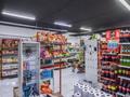 Свободное назначение, магазины и бутики · 96.3 м² за 52 млн ₸ в Астане, Есильский р-н — фото 7