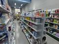Еркін · 75 м², бағасы: 95 млн ₸ в Астане — фото 10
